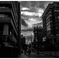 monochrome