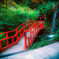 森と朱橋