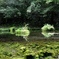 水鏡