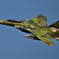 2025AGGRESSOR_92-8070_14