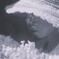 film・涙で育てたその花は*