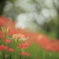 花園Ⅲ