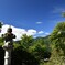 良い天気