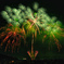 2025_The 4th fireworks 5