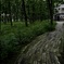 美術館への道