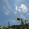 うだるような暑さ