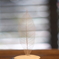 展示作品を撮る