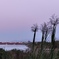 夕刻の神通川