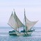 野付湾　海老ぎょう