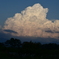 夏雲。