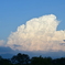 夏雲。