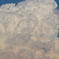 夏雲。