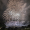 夏の終わりに（馬瀬川大花火2025）