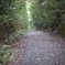DSC00594