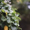 DSC00626