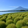 河口湖