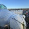 EXPO2025_スイス館と大屋根リング