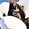 浅井あっぱれ祭り