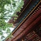 垂木にグラデーション