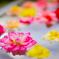 水上の花舞