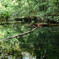 Hidden Pond