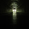 To the light