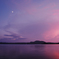 Purple & Pink (Film)
