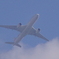 JAL Flight