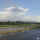 雨上がりの道で