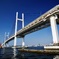 ベイブリッジを見上げる