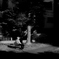 2025-08-08_5299
