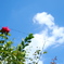 空に向かって