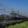 市川橋梁②