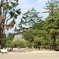 名古屋　９
