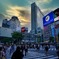 夕暮れ写真集