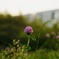 夕暮れの中で