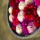 bbfe2eac-5ee6-4f70-8193-b4035ed5cf14-1_a