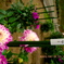 bbfe2eac-5ee6-4f70-8193-b4035ed5cf14-1_a