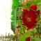 bbfe2eac-5ee6-4f70-8193-b4035ed5cf14-1_a