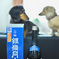 山形のお酒
