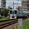 まだまだ猛暑沿線・52席の至福リアビュー