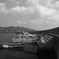 波止場