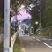 東京にも真っ直ぐな坂道はたまにある