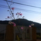 日暮れ
