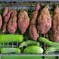 菜園・サツマイモ試し掘り