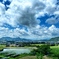里山の風景