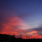 夕時のまどろみ