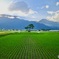 山のある風景