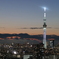 夕暮れのスカイツリー