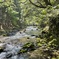 IMG_8109水の道